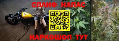 дживик Ливны