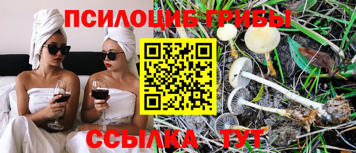 Ефремов  Псилоцибиновые грибы Psilocybine cubensis  Вход с VPN  цена   Галлюциногенные грибы Magic Shrooms 