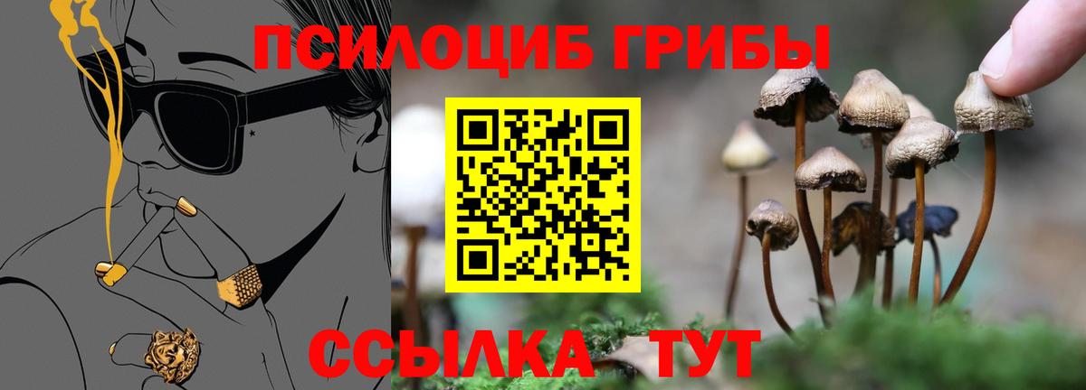 Псилоцибиновые грибы мицелий Ефремов